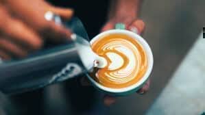 Barista Milk vs. Regular Milk: Which is Right for Your Morning Brew? - iPantry UAE