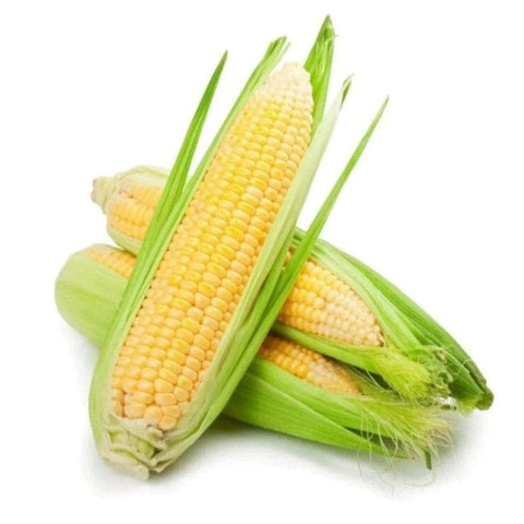 Asparagus, Fennel & Corn - iPantry UAE