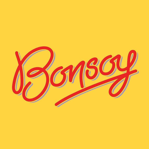 Bonsoy - iPantry UAE