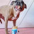 Byron Bay Peanut Butter Co Dog Peanut Putter | 375g - iPantry UAE