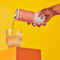 Freed Tea Soda Peach & Vanilla | 330mL - iPantry