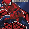 Hallmark Spiderman Birthday Hero - iPantry UAE