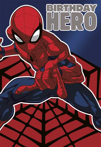 Hallmark Spiderman Birthday Hero - iPantry UAE