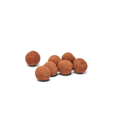 Koko Black Roasted Toasted Hazelnut Dark Chocolate | 100g - iPantry UAE