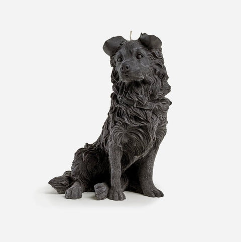 Love Ally Border Collie Candle Black - iPantry UAE