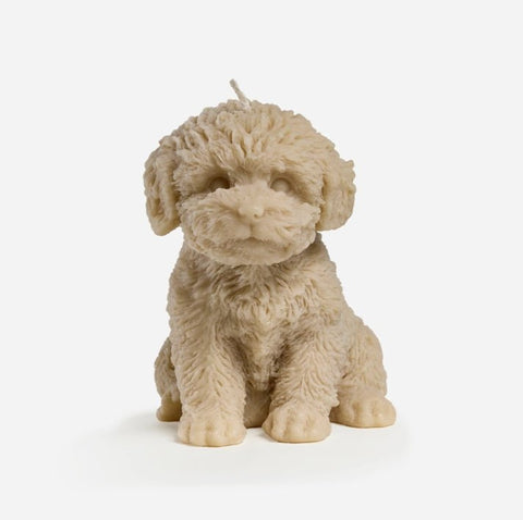 Love Ally Cavoodle Candle Brown - iPantry UAE