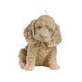 Love Ally Cocker Spaniel Candle Blonde - iPantry UAE