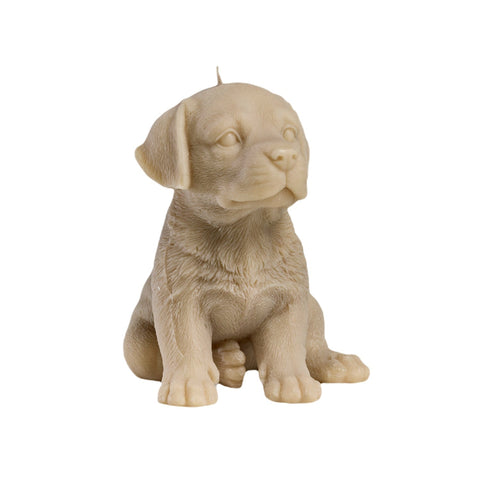 Love Ally Labrador Candle Blonde - iPantry UAE
