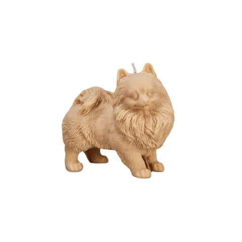 Love Ally Pomeranian Candle Blonde - iPantry UAE