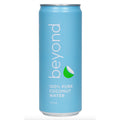 Natural Coconut Water 310ml - iPantry UAE