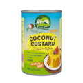 Nature's Charm Coconut Vanilla Custard | 400g - iPantry UAE