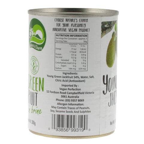 Nature's Charm Young Green Jackfruit | 565g - iPantry