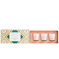 Palm Beach Collection Palm Beach Candle Trio Collection - iPantry UAE