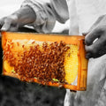 Vallentine's Honey | 250g - iPantry UAE